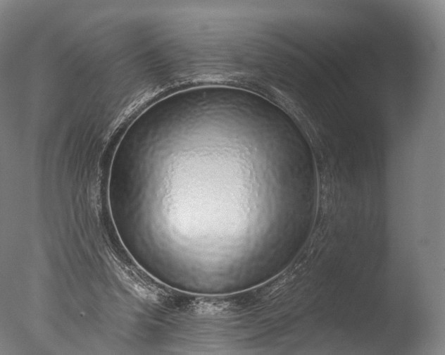 X0000076410346200610161106