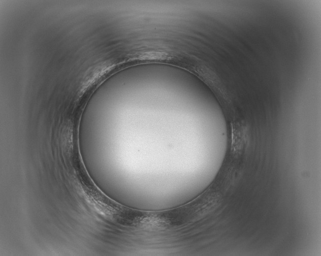 X0000076410348200610161106