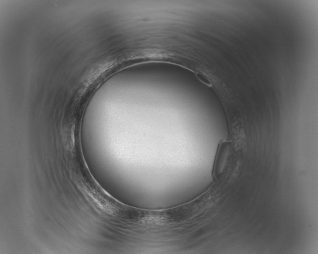 X0000076410350200610161106