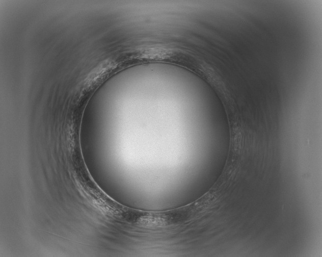 X0000076410354200610161106