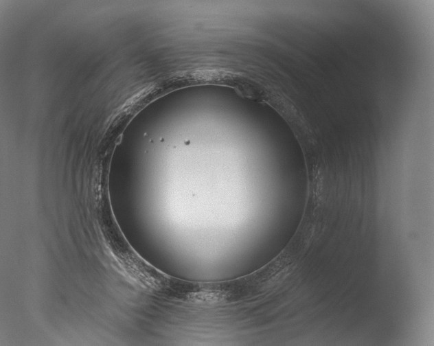 X0000076410356200610161106