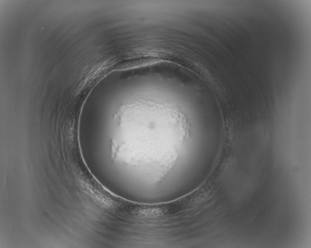 X0000076410357200610161106