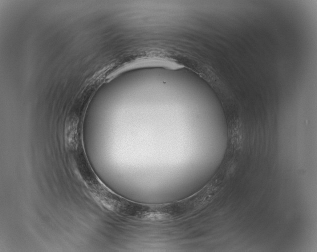 X0000076410360200610161107