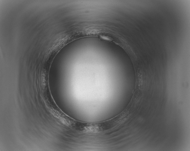 X0000076410362200610161107