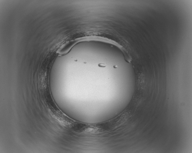 X0000076410364200610161107