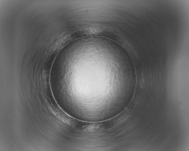 X0000076410366200610161107