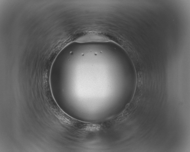 X0000076410369200610161107