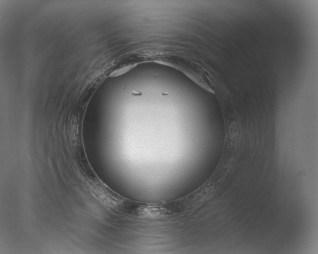 X0000076410372200610161107