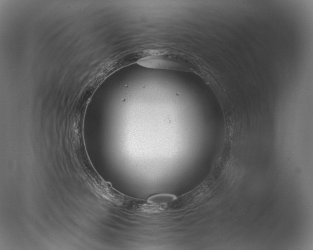 X0000076410373200610161107