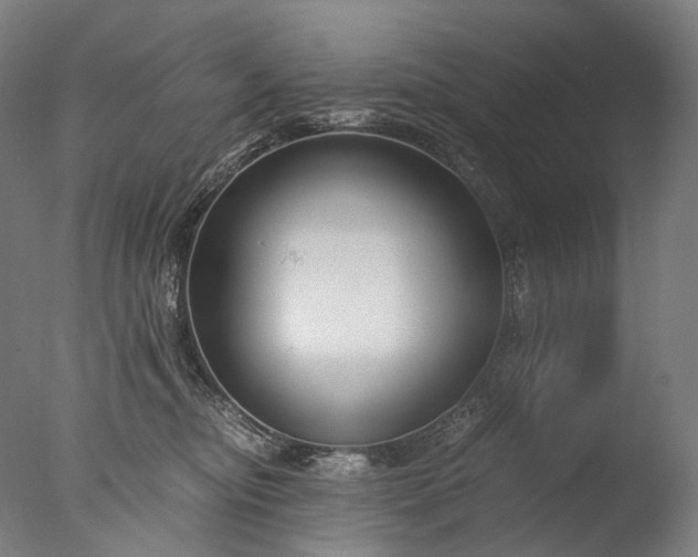 X0000076410374200610161107