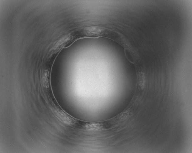 X0000076410378200610161107