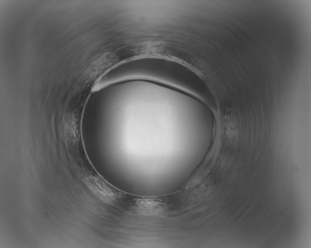X0000076410380200610161107
