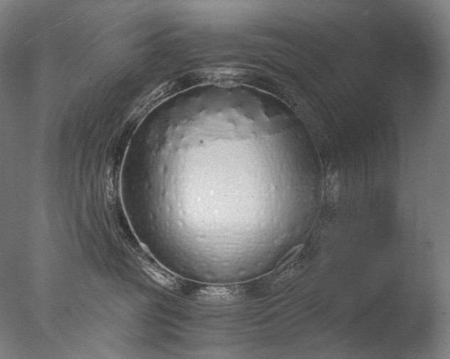 X0000076410381200610161107