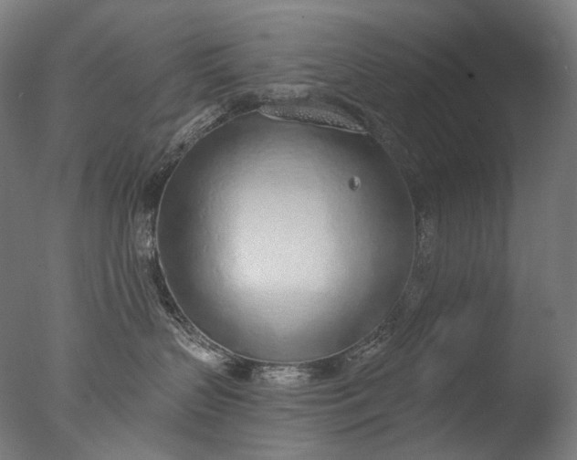 X0000076410383200610161107