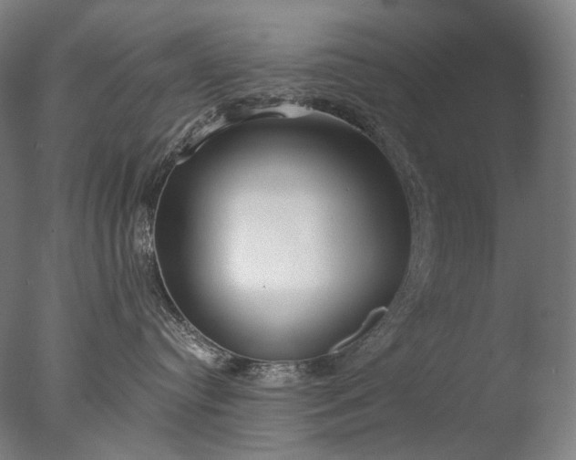 X0000076410384200610161107