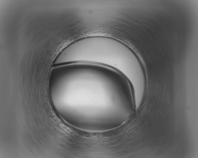 X0000076410385200610161106