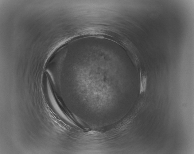 X0000076410387200610161106
