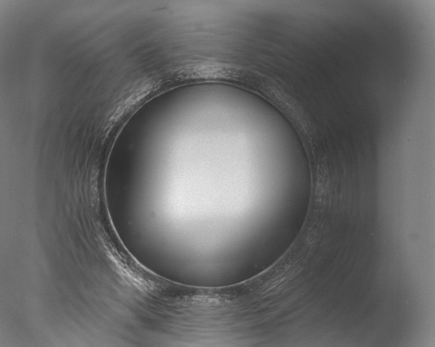 X0000076410394200610161106