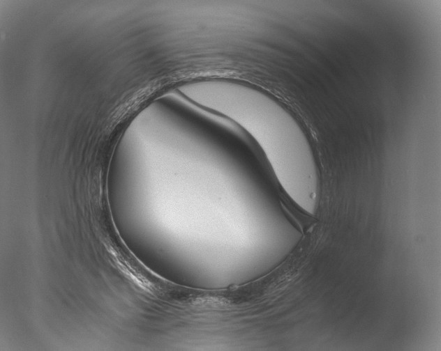 X0000076410397200610161106