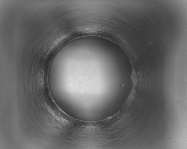 X0000076410400200610161106