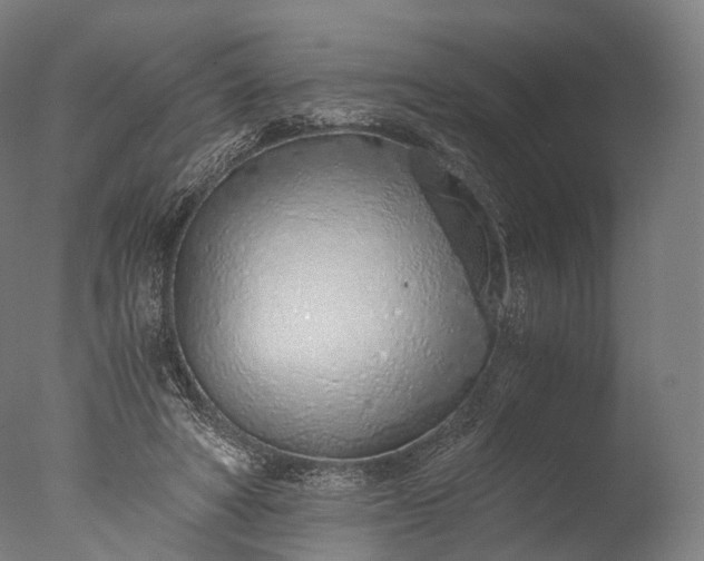 X0000076410402200610161106