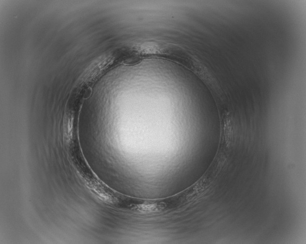 X0000076410406200610161106