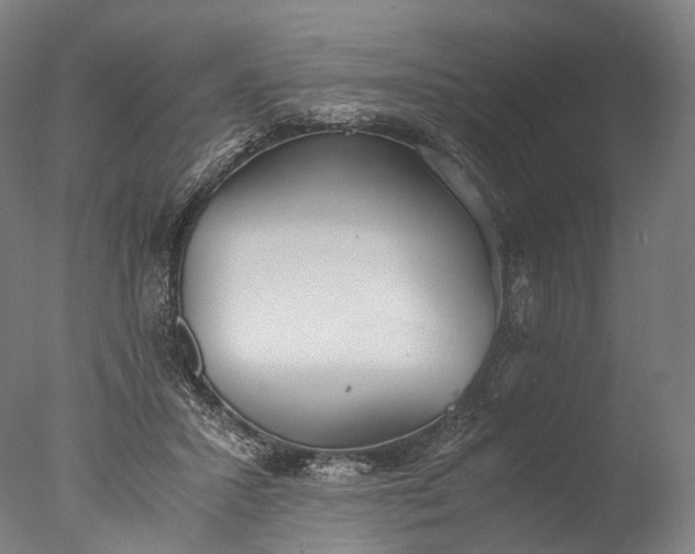 X0000076410407200610161106