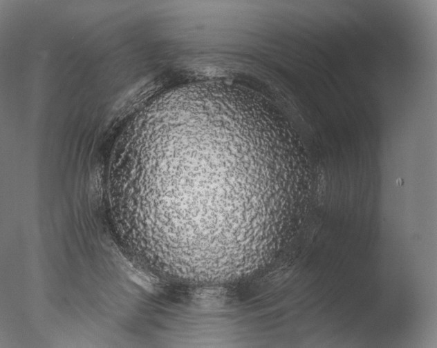X0000076410410200610161106