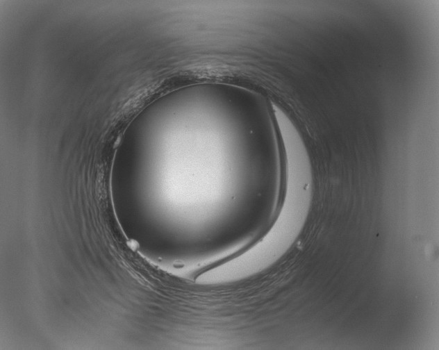 X0000076410411200610161106