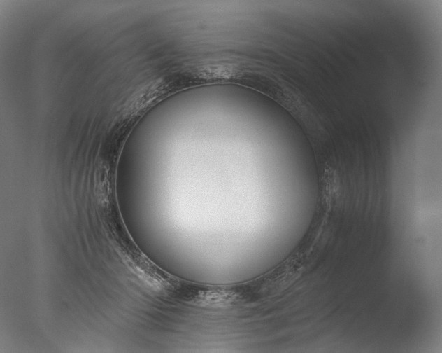 X0000076410414200610161106