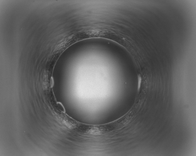 X0000076410416200610161106