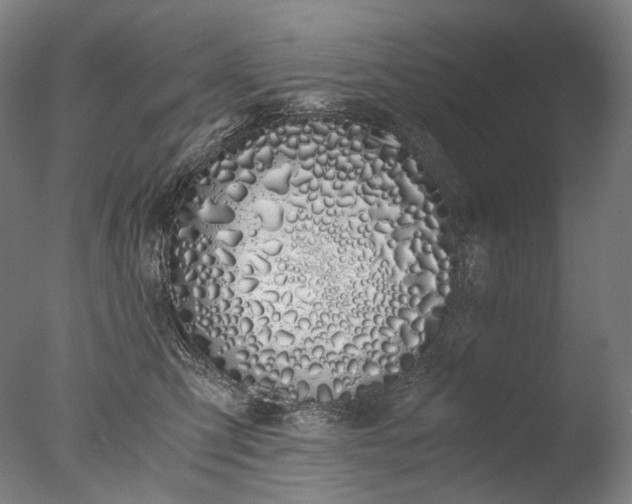 X0000076410423200610161105
