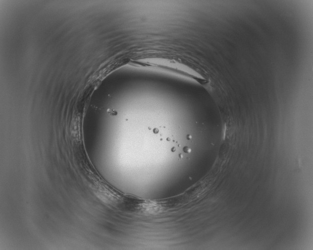 X0000076410425200610161105