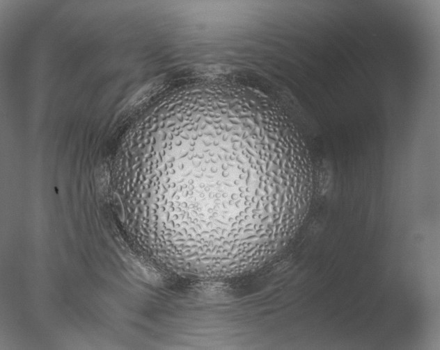 X0000076410427200610161105