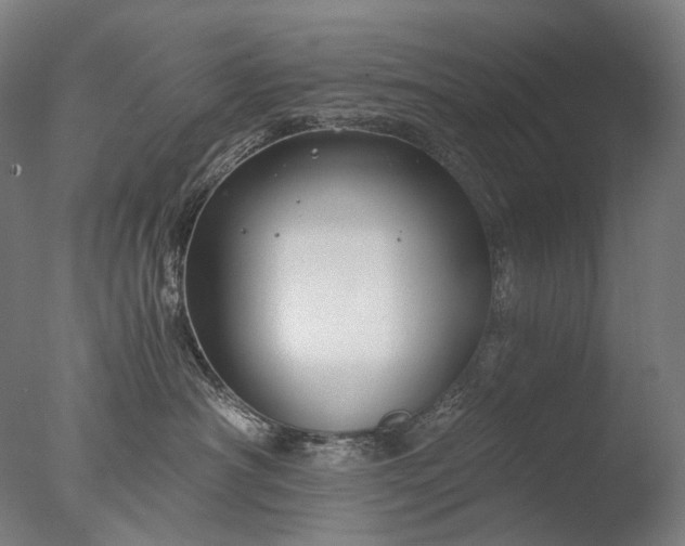 X0000076410430200610161105
