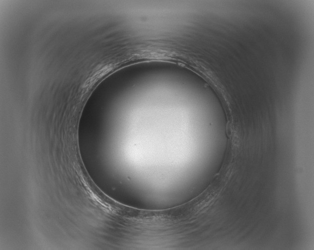 X0000076410433200610161105