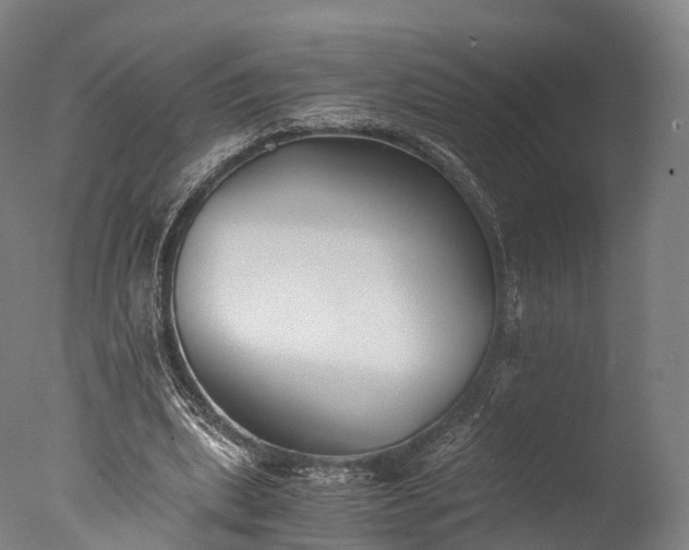 X0000076410439200610161105