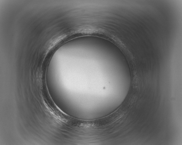 X0000076410440200610161105