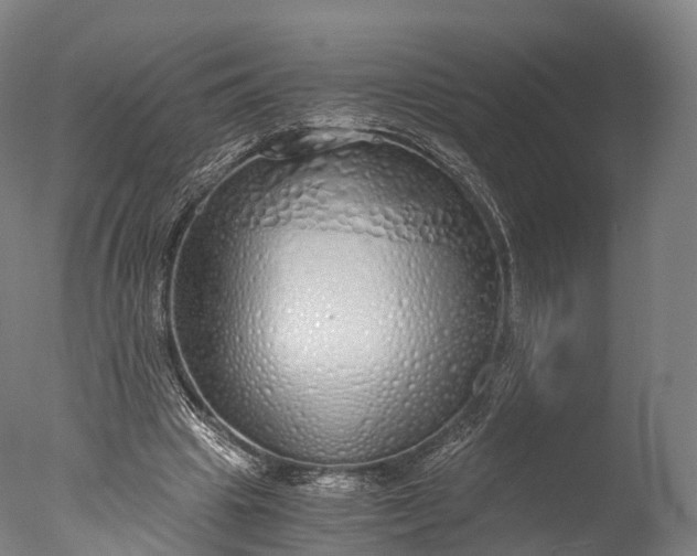X0000076410441200610161105