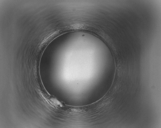 X0000076410442200610161105
