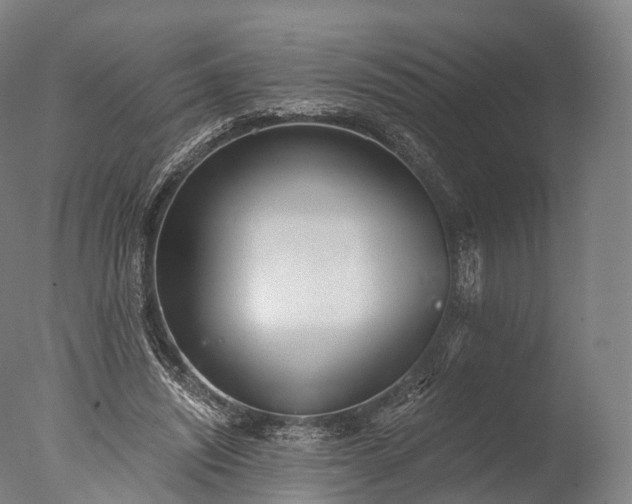 X0000076410444200610161105