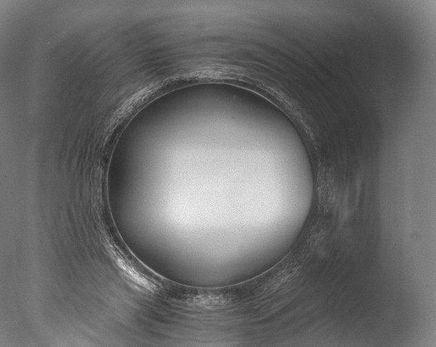 X0000076410445200610161105