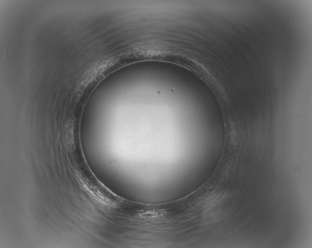X0000076410447200610161105