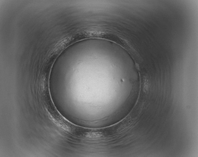 X0000076410451200610161105