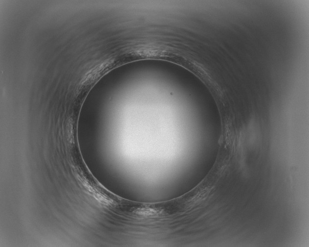 X0000076410453200610161105