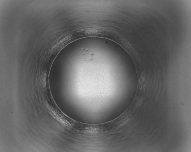 X0000076410454200610161105