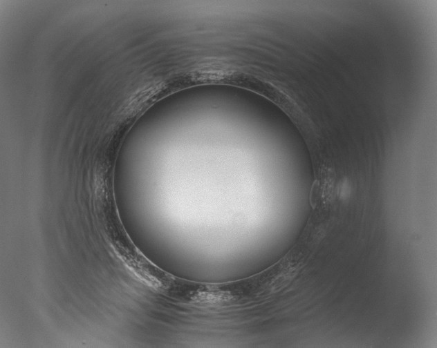X0000076410455200610161105