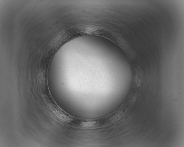 X0000076410461200610161105