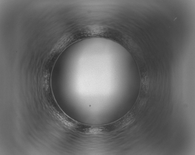 X0000076410462200610161105
