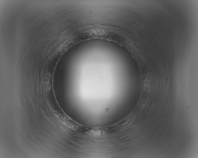X0000076410464200610161105